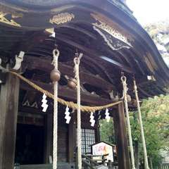 投稿日:2015年12月3日 写真