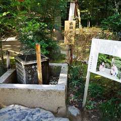 投稿日:2021年11月6日 写真