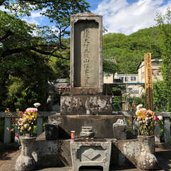 投稿日:2018年4月25日 写真