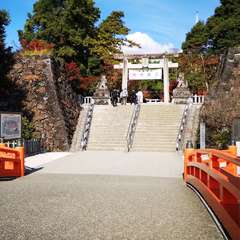 投稿日:2021年11月6日 写真