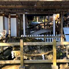 投稿日:2025年8月14日 写真