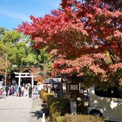 投稿日:2021年11月6日 写真