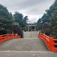 投稿日:2024年10月29日 写真