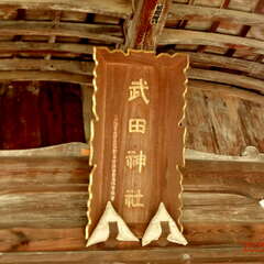 投稿日:2025年6月12日 写真