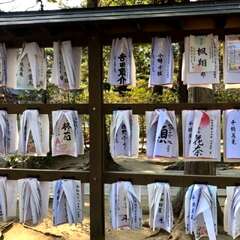 投稿日:2025年8月14日 写真