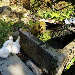 投稿日:2021年11月6日 写真