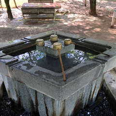 投稿日:2018年4月25日 写真