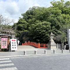 投稿日:2025年9月22日 写真