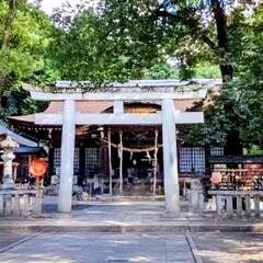 投稿日:2025年8月6日 写真