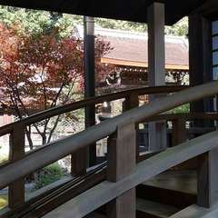 投稿日:2021年11月6日 写真