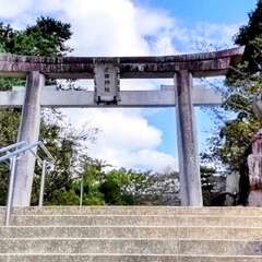 投稿日:2025年8月6日 写真