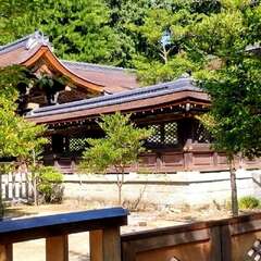 投稿日:2025年8月6日 写真