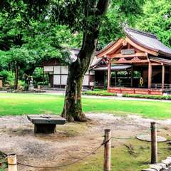 境内から見る甲陽武能殿(投稿日:2016年7月16日) 写真