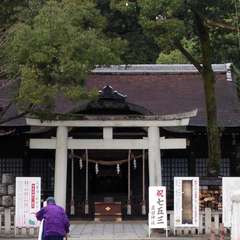 投稿日:2015年12月3日 写真