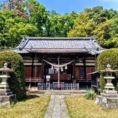 写真