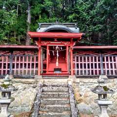 写真