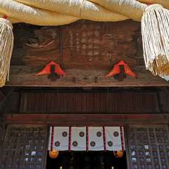 投稿日:2020年11月15日 写真