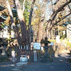 投稿日:2021年2月27日 写真