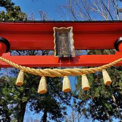 投稿日:2020年11月15日 写真