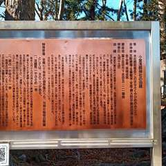 投稿日:2021年2月27日 写真