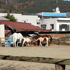 投稿日:2020年11月15日 写真