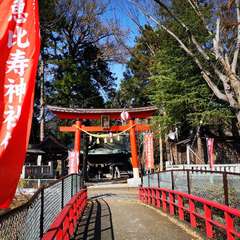 投稿日:2020年11月15日 写真