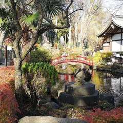 投稿日:2020年11月15日 写真