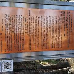 投稿日:2020年11月15日 写真