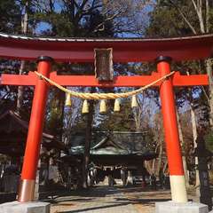 投稿日:2020年11月15日 写真