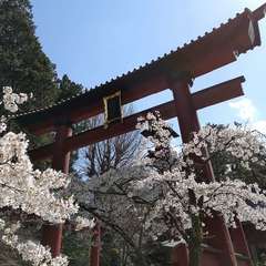投稿日:2021年4月10日 写真