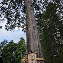 投稿日:2024年8月22日 写真