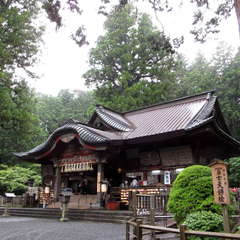 投稿日:2024年7月16日 写真