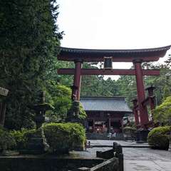 投稿日:2024年8月22日 写真