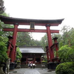 投稿日:2024年7月16日 写真