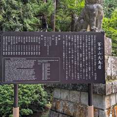 投稿日:2024年8月22日 写真