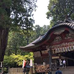 投稿日:2019年7月31日 写真