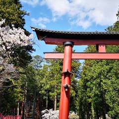 投稿日:2021年4月10日 写真