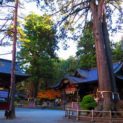 投稿日:2018年4月4日 写真