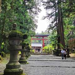 投稿日:2023年12月20日 写真