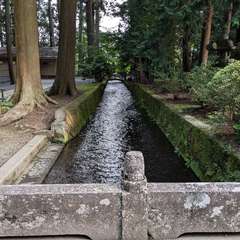 投稿日:2024年8月22日 写真