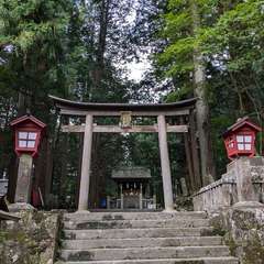 投稿日:2024年8月22日 写真