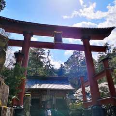 投稿日:2021年4月10日 写真