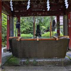 投稿日:2024年8月22日 写真