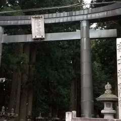 投稿日:2024年6月7日 写真