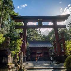 投稿日:2018年10月10日 写真