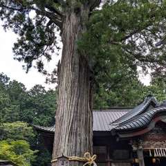 投稿日:2024年8月22日 写真