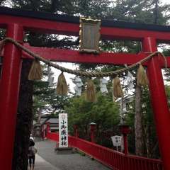 投稿日:2015年10月3日 写真