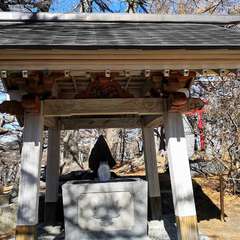 投稿日:2020年11月14日 写真