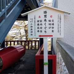 投稿日:2020年11月14日 写真