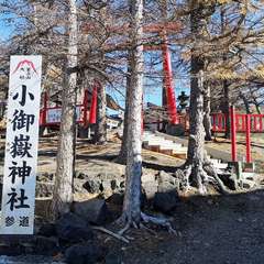 投稿日:2020年11月14日 写真